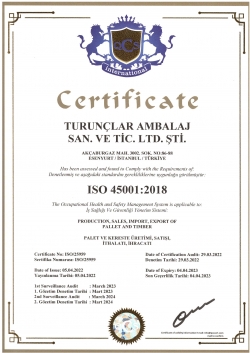 ISO 45001 2018